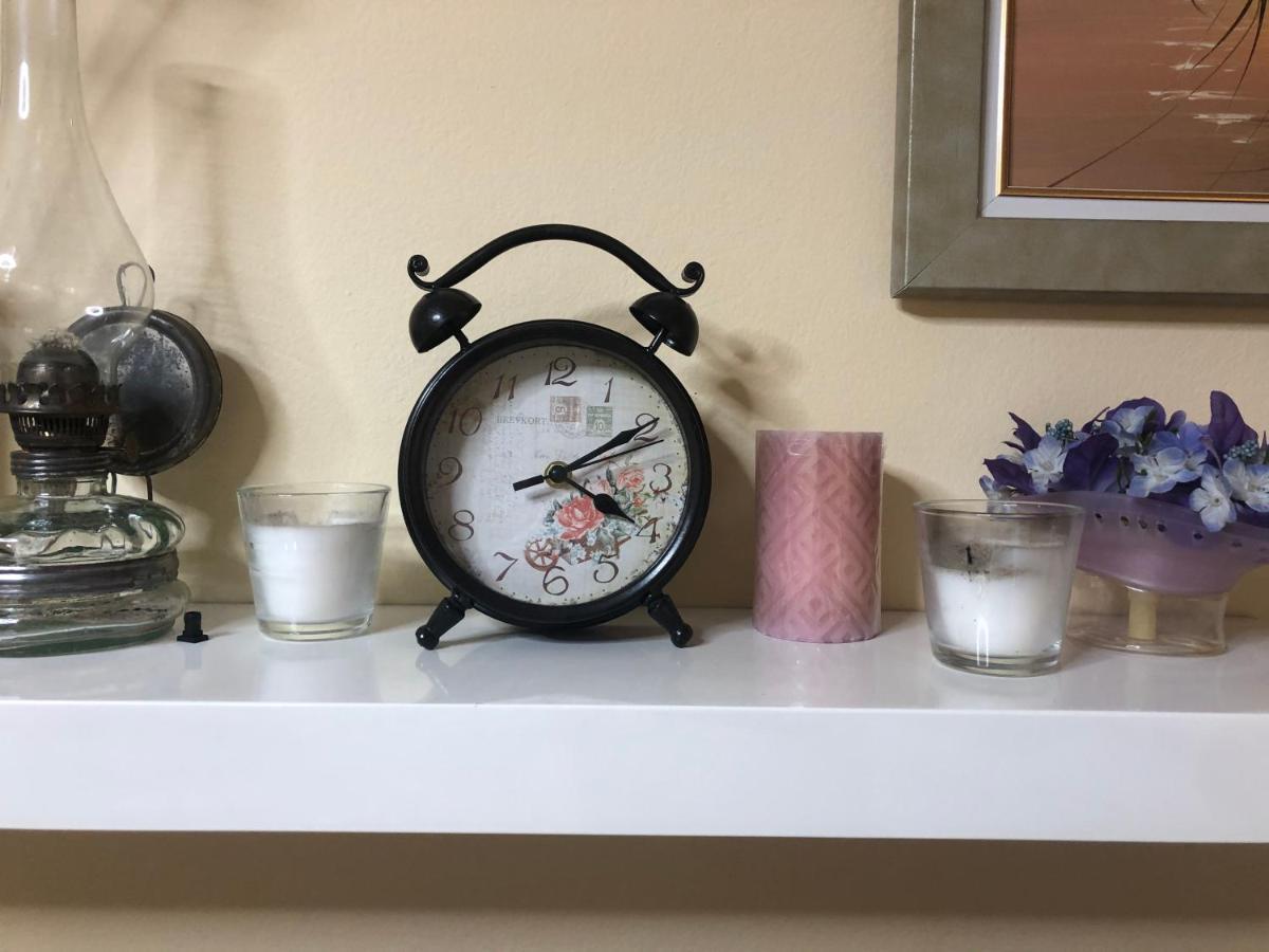 Mea Centre Apartment Shkodër エクステリア 写真